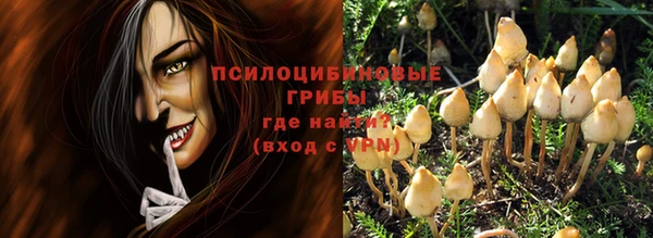 PSILOCYBIN Алексин