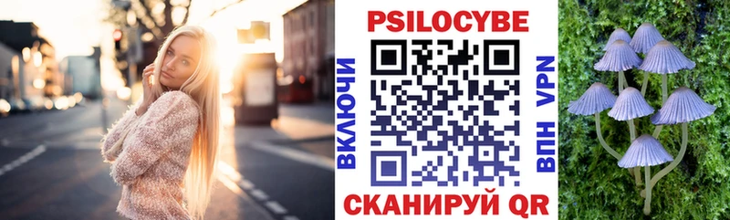 blacksprut вход  Гвардейск  Псилоцибиновые грибы прущие грибы 