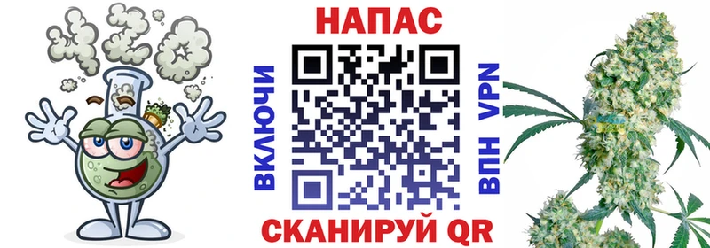 Конопля OG Kush  Гвардейск 