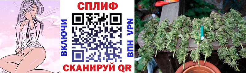 Конопля марихуана Гвардейск
